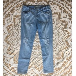 Arizona Light Wash Ripped Jegging